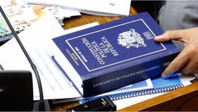 Revisa y descarga la propuesta de nueva Constitución