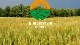 Solo por 10 mil pesos podrías ganar tu propio paraíso rural en Melipilla
