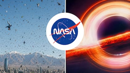 No es leseo: La NASA tuvo que salir a aclarar que la Tierra no perdería la gravedad durante siete segundos
