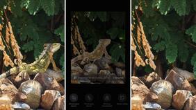 Con este teléfono de Honor, borrar personas y objetos de tus fotos es más sencillo que nunca