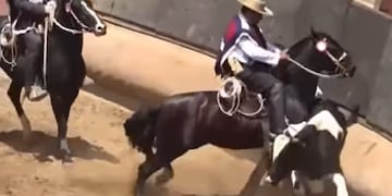 Rodeo