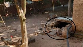 Niña de 9 años fue encontrada muerta en un pozo séptico: investigan a la familia