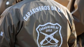 Su ex pareja chocó contra su casa y terminó detenida: destrucción del hogar dejó al descubierto planta de marihuana