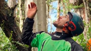La nueva travesía de “El Clan” en busca un árbol milenario: encontrarán alerce que se podría convertir en el más antiguo del mundo