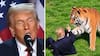 “Demente”, “enfermizo”, “repugnante”: Donald Trump desata repudio por “parodiar” brutal muerte de joven
