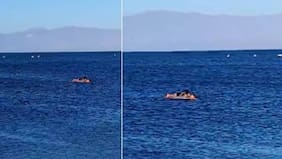 Héroe mar adentro: carabinero de franco rescata a familia que era arrastrada por la corriente tras subir a colchón