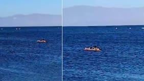 Adolescentes en colchón inflable se iban mar adentro: muere hombre que intentó rescatar a dos menores en Mejillones