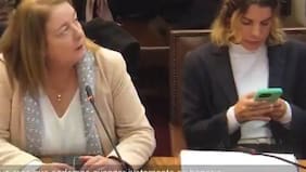 Hasta que se supo la verdad: el motivo por el que Maite Orsini “se pegó” en el teléfono durante comisión de Seguridad