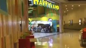 La insólita irrupción de un caballo en local de mall en Coronel