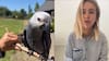 Nueva funa a influencer Josefa Sáez: loro familiar fue operado para que no vuele