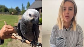 Nueva funa a influencer Josefa Sáez: loro familiar fue operado para que no vuele