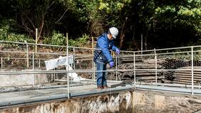 ¡Falta que culpen a Homero Simpson por error de Essal en Osorno!