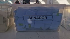Quién fue el reconocido senador que sacó más votos en estas elecciones 2025