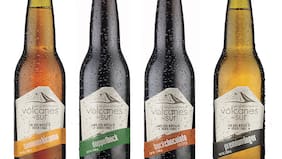 La CCU del Grupo Luksic ahora tiene 17 cervezas tras la compra de Volcanes del Sur