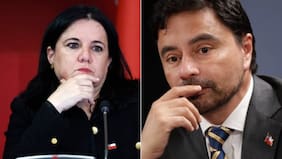“Se nos cae todo el relato”: el insospechado descargo de Rodolfo Carter tras ausencia de ministra Steinert a sesión clave