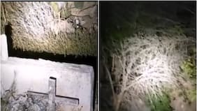 ¡Qué miedo! Investigadores se comunican con dos fantasmas