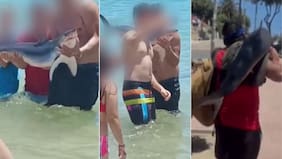 “Estupidez humana”: indignación total por macabro “show” con un tiburón en playa de El Quisco