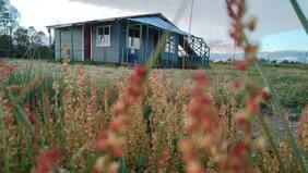 Familia emprendedora rifa terreno para comercializar su harina de frutas