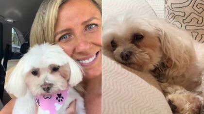 El desgarrador último adiós de Maca Tondreau a su perrita fallecida tras encerrona: compartió promesa que le hizo