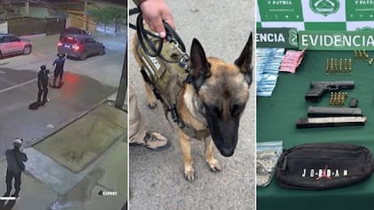 Can “Luksic”, único en su especialidad en Chile, debutó a lo grande: echó al agua a pistoleros que aterraban a San miguel
