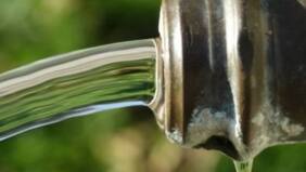 Minsal confirma caso importado de cólera en menor de edad: había viajado al extranjero en mayo