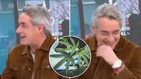 “La ignorancia es atrevida”: Duras críticas contra Repenning por comentario sobre dispensarios de cannabis medicinal