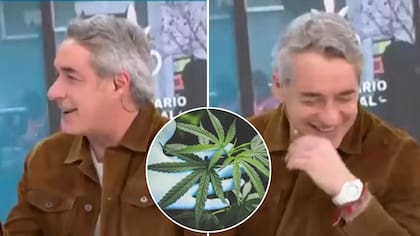 “La ignorancia es atrevida”: Duras críticas contra Repenning por su comentario sobre dispensarios de cannabis medicinal