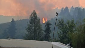 Tenía un encendedor y algo escondía en su calcetín: detienen a sospechoso de iniciar focos de incendio en Punta de Parra