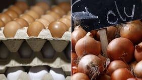 Los huevos subieron tanto de precio, que el Gobierno recomendó combinarlos con acelgas o cebollas