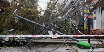 Caida de arbol en calle Trinidad con Punta Arenas comuna de La Florida