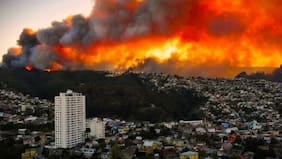 Contraloría detecta millonarias irregularidades en Valparaíso, Viña del Mar y Quilpué en recursos por megaincendio