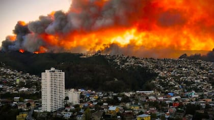 Contraloría detecta millonarias irregularidades en Valparaíso, Viña del Mar y Quilpué en recursos por megaincendio