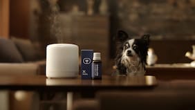 NotCo quiere replicar el aroma humano para que las mascotas no nos extrañen