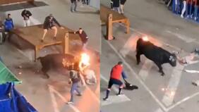 Toro casi mata a sujeto que le había prendido fuego a sus cuernos