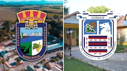 Contraloría detecta que municipios de O’Higgins pagaron $109 millones por terrenos que nunca ingresaron a su patrimonio