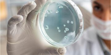 Virus. Imagen de referencia, Freepick.