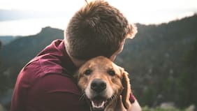 Conoce la edad de tu perro en años humanos