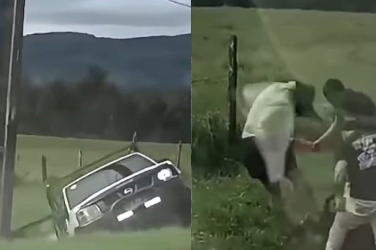 Persecución ciudadana terminó con camioneta accidentada y ladrón lesionado tras ser usado como saco de boxeo en Valdivia