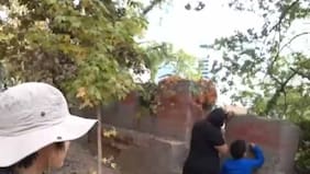 Youtuber coreano dejó al desnudo nuestra falta de cultura