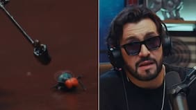 Edo Caroe habló con mosca que se posó sobre Kast y puso fin al misterio: hilarante entrevista tuvo final inesperado