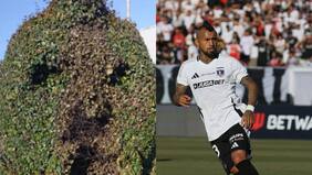 Lo quemaron: Destruyen arbusto que homenajeaba a Arturo Vidal en Talcahuano