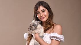 “No son juguetes, son un miembro más de la familia”: iCata invita a no comprar conejitos para esta Pascua