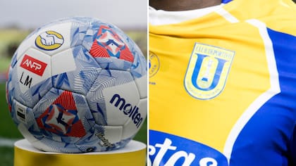 Justicia anula conversión de Universidad de Concepción a sociedad nónima y ordena revertir todo el proceso