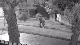 Imágenes fuertes: capturan a delincuente que protagonizó cobarde intento de estrangulamiento a vecina de Valdivia