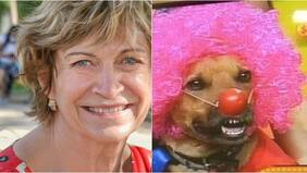 “Valiente” e “Intenta su minuto de fama”: Evelyn Matthei desató ola de reacciones con publicación en pleno Día de Los Inocentes