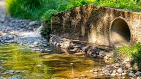 Contraloría detecta vertimiento de aguas servidas sin tratar a río de Palena y enviará antecedentes a Fiscalía