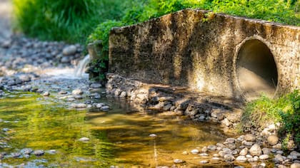 Contraloría detecta vertimiento de aguas servidas sin tratar a río de Palena y enviará antecedentes a Fiscalía