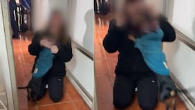 Ex se lo peló hace cinco meses y actuó PDI: graban emotivo reencuentro de Bruce, perro de apoyo emocional, con su dueña