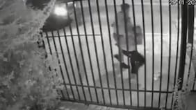 La baja de 7 carabineros tras brutal agresión a joven de Puente Alto