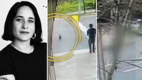 Se le ve salvando a su perrito y el brutal actuar del conductor: cámaras captaron el fatal atropello de Paz Ramírez